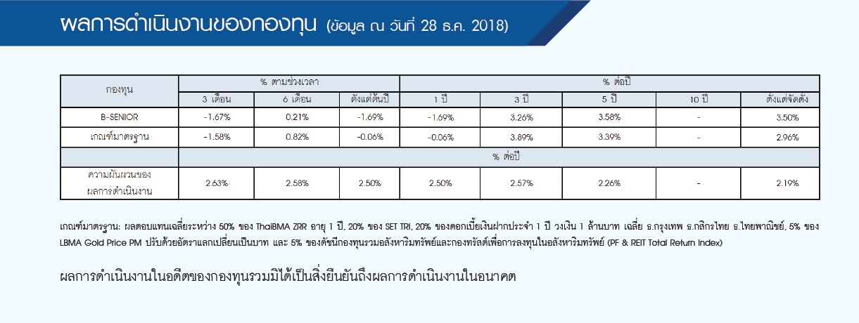 กองทุนผสมบีซีเนียร์สำหรับวัยเกษียณ (B-SENIOR) - BUALUANG FUND