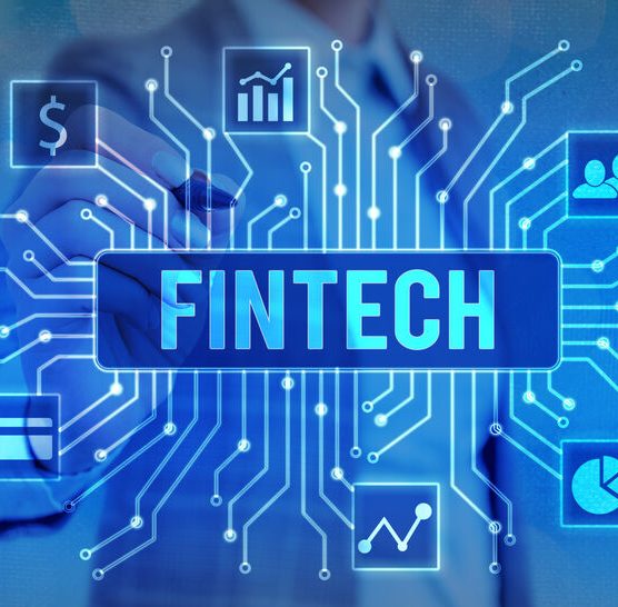 กองทุน B-FINTECH เหมาะสำหรับนักลงทุนประเภทใด? - BUALUANG FUND