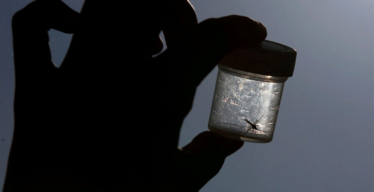 สหรัฐฯ จับตาใกล้ชิด พบผู้ป่วยไข้มาลาเรียในประเทศครั้งแรกรอบ 20 ปี
